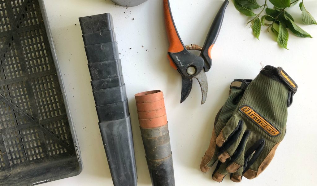 A set of gardening tools laid out on a white surface, including a pair of pruning shears, a gardening glove, various plant containers, and freshly cut leaves, indicating a gardening project in progress.