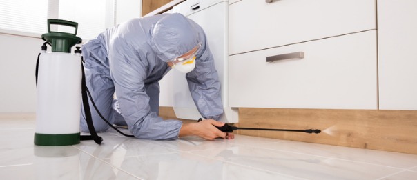 Exterminator spraying pesticide in a kitchen