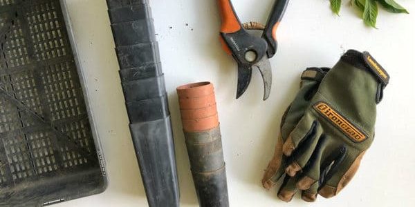 Gardening tools on a white surface, including pruning shears, gloves, a tray, and plant tubes.